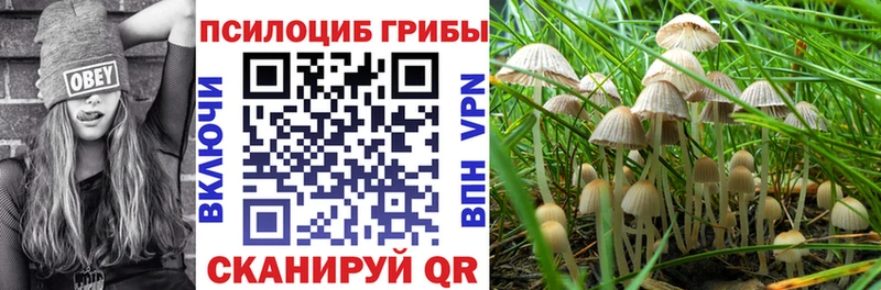 Галлюциногенные грибы мухоморы  цены   Новомичуринск 